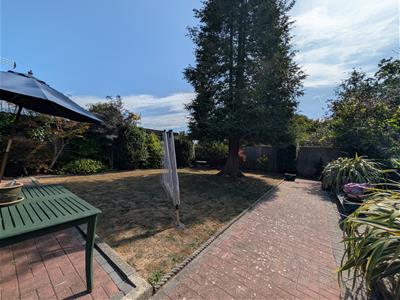 Picture 23